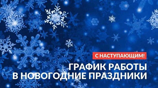 Новогодний режим работы!